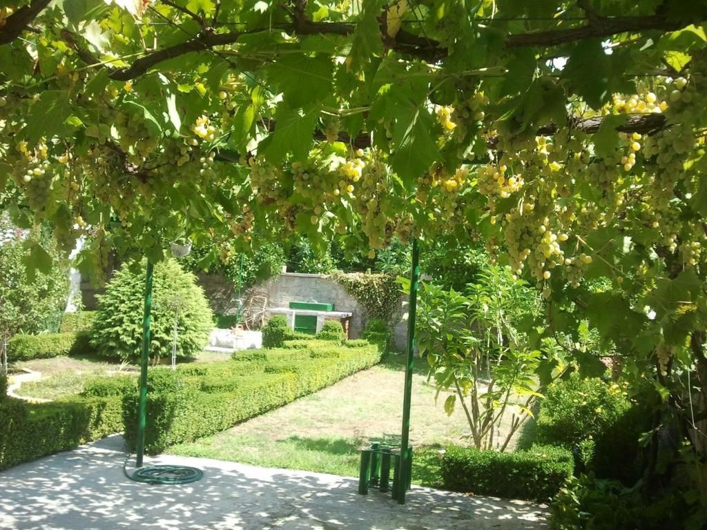 Гостевой дом Белый Дом Биела